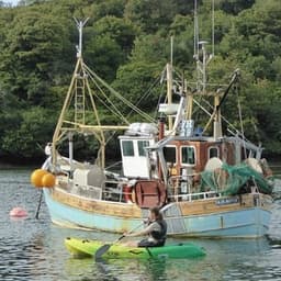 Kayak Hire thumbnail image, ran by Falmouth River Watersports
